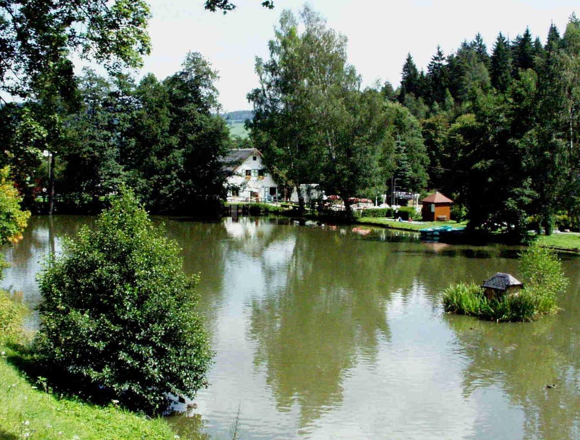 Hotel Gasthof Zum Walfisch Klingenthal Exteriör bild