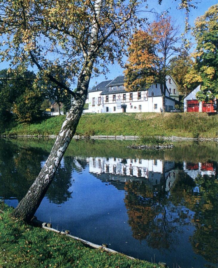Hotel Gasthof Zum Walfisch Klingenthal Exteriör bild